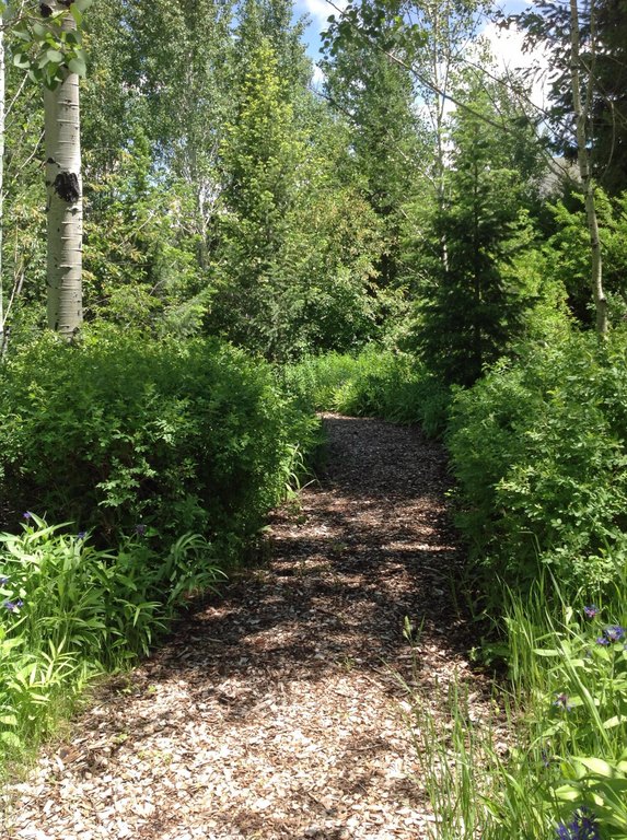 Picture 11