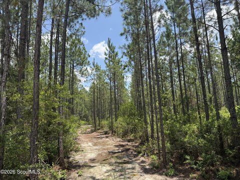 LAND - Manor, GA