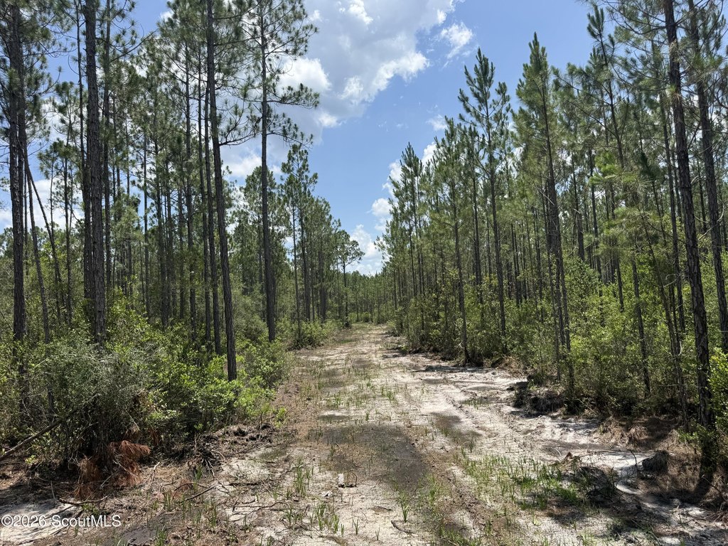 Picture 4