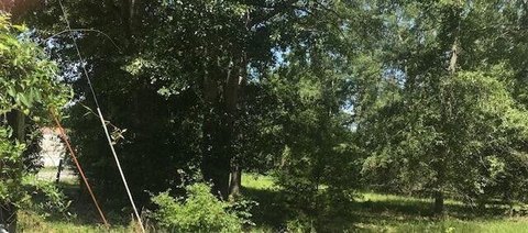 LAND - Barnwell, SC