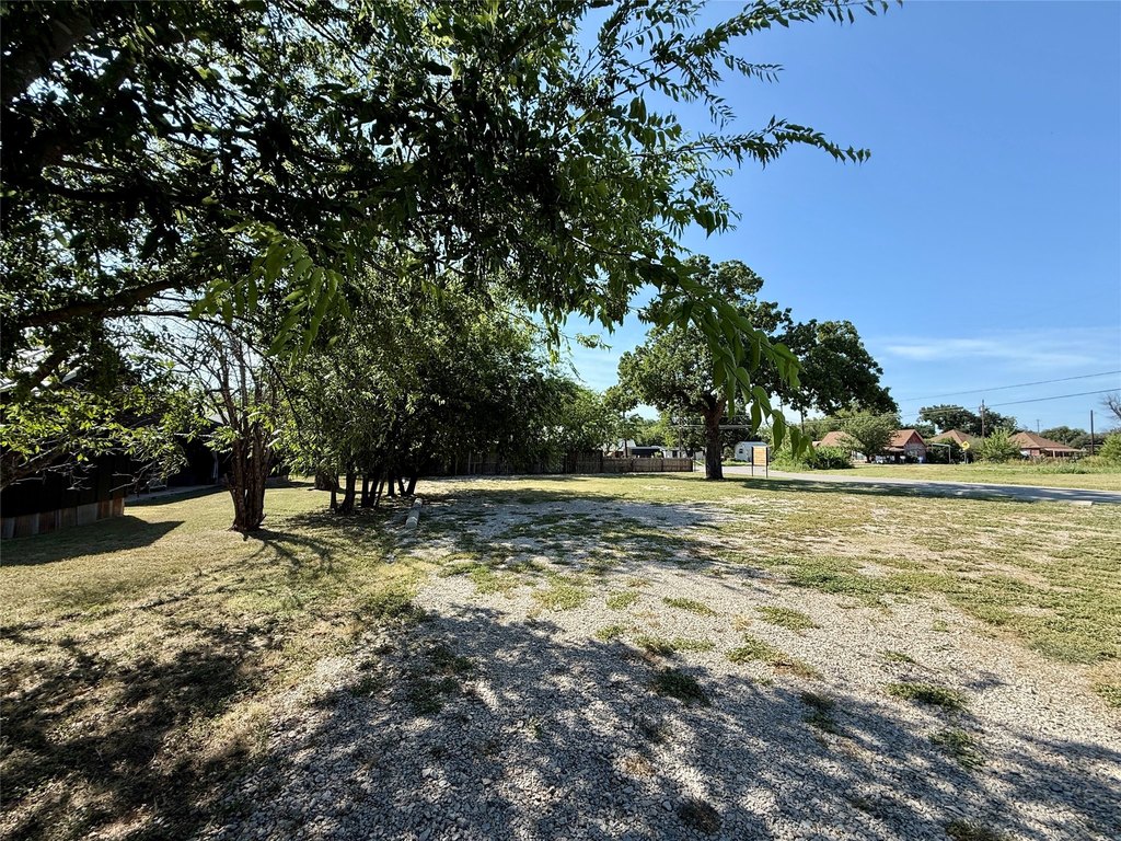 Picture 16