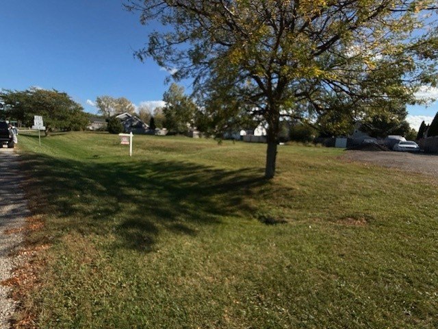 Picture 9