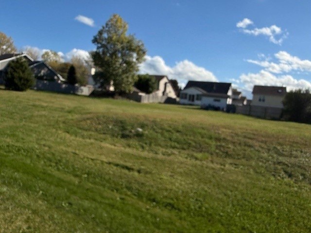 Picture 4