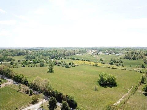 Cleared Farmland Tract with Road Access