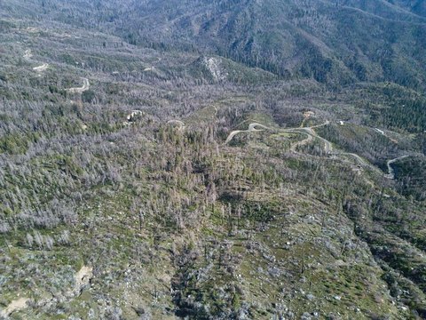 Springville Land: Mountain Residential Parcel