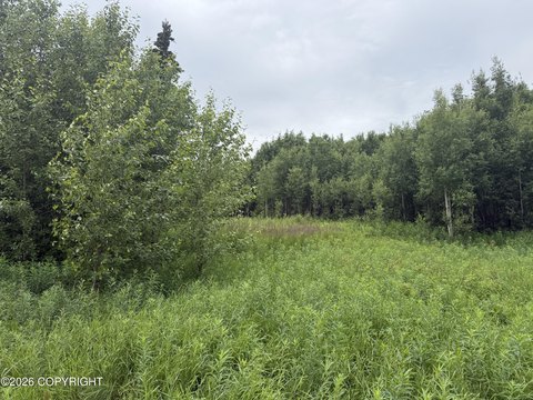 LAND - Palmer, AK