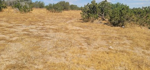 Spacious Land in Indio, CA