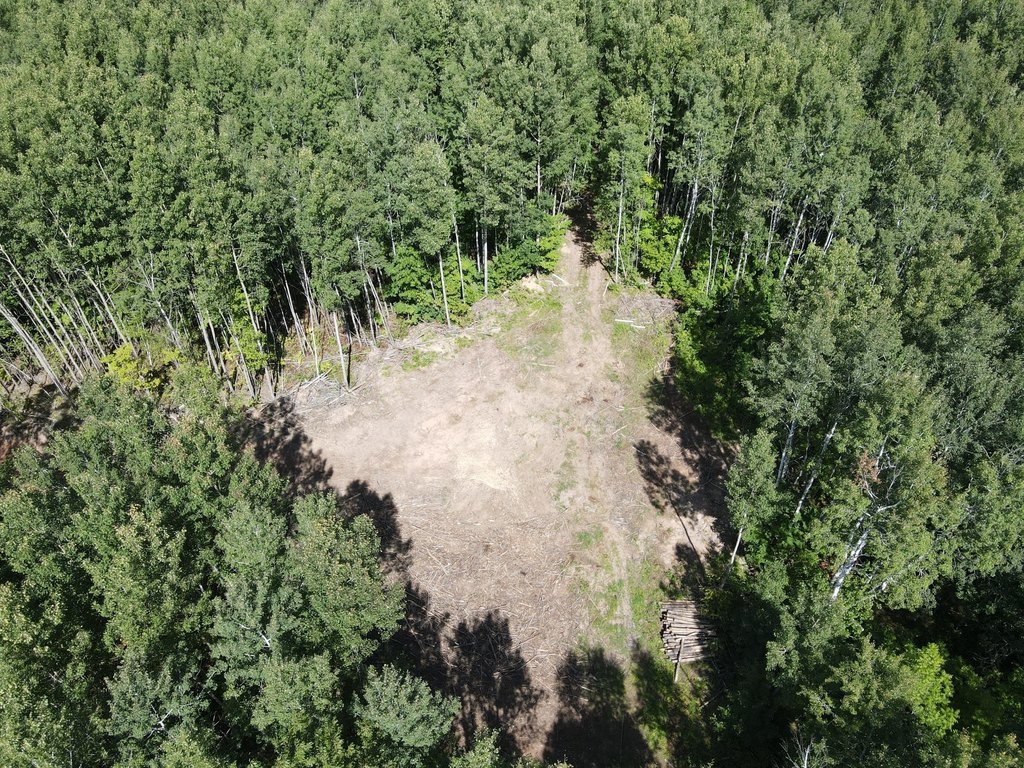 Picture 14