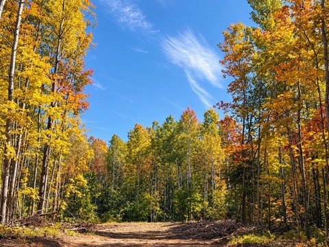 Land, Solon Springs, WI