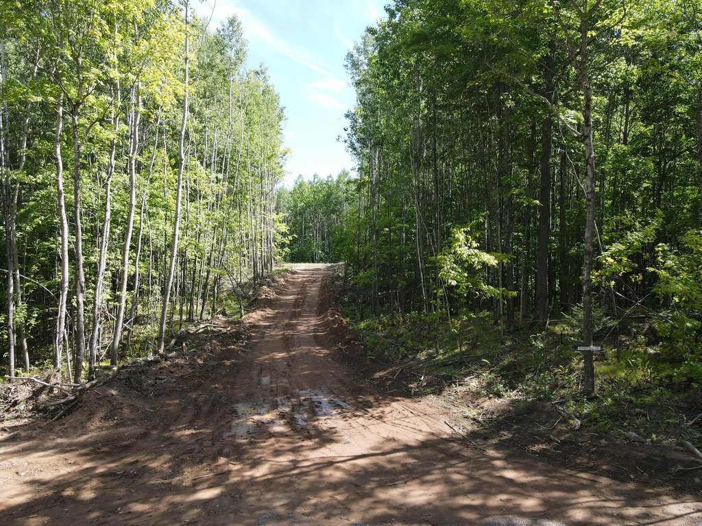 Picture 7