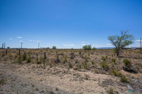 Land For Sale, Willard, NM