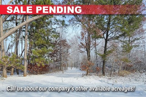 Wooded Land Near Webster, WI