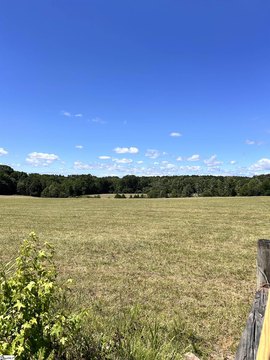 Mini-Farm Tract with Private Pond