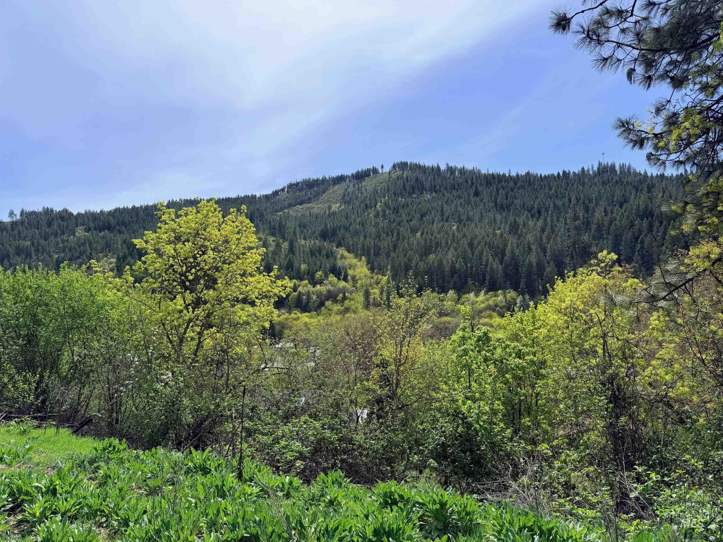LAND - Orofino, ID
