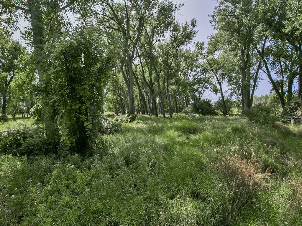 Picture 8