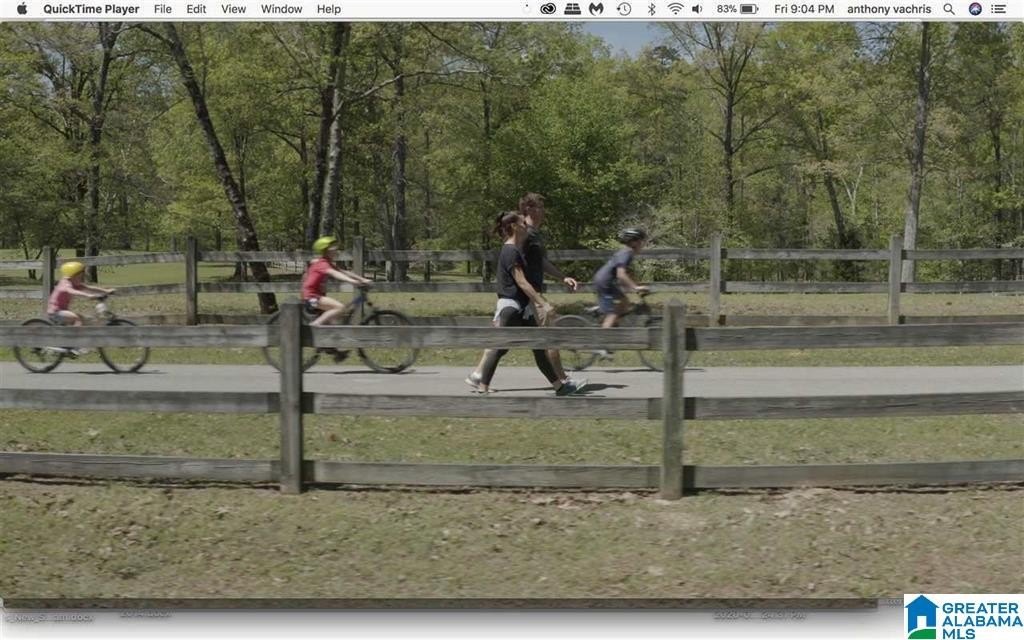 Picture 41