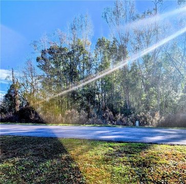 Spacious Horse-Friendly Lots in Mobile