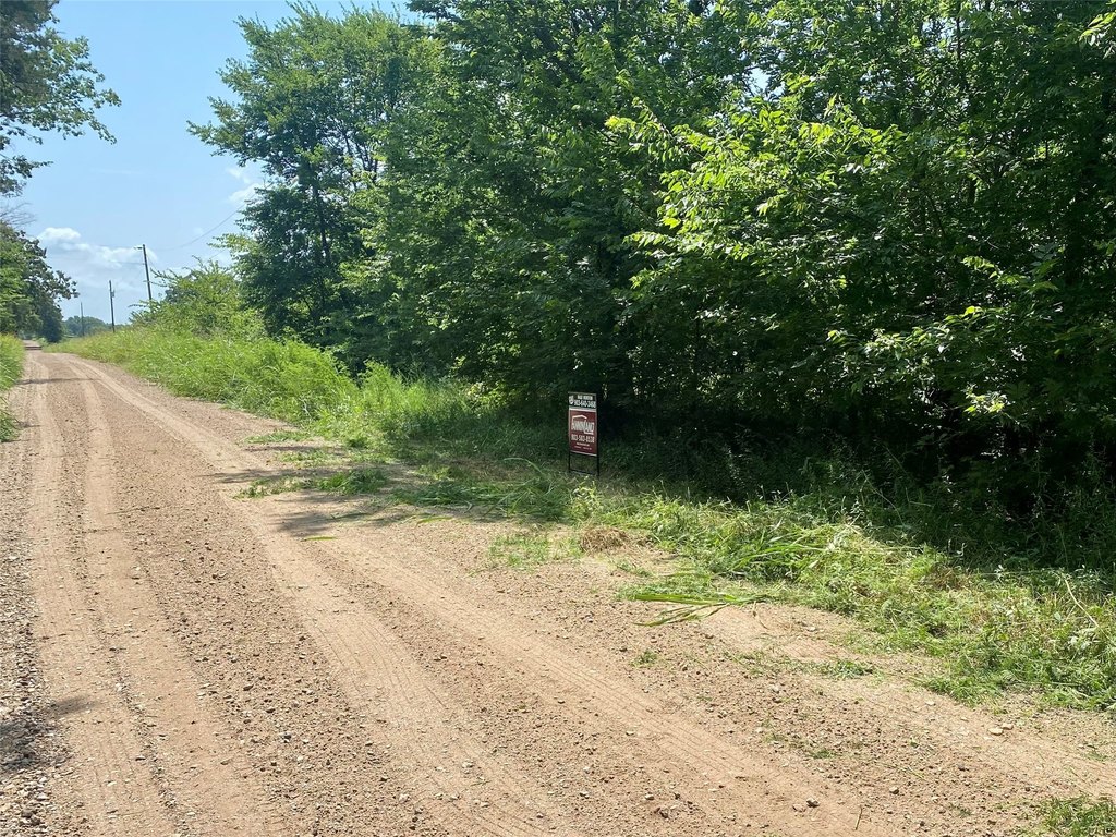 Picture 6