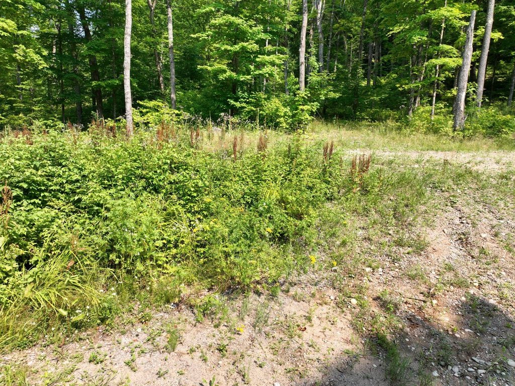 Picture 13