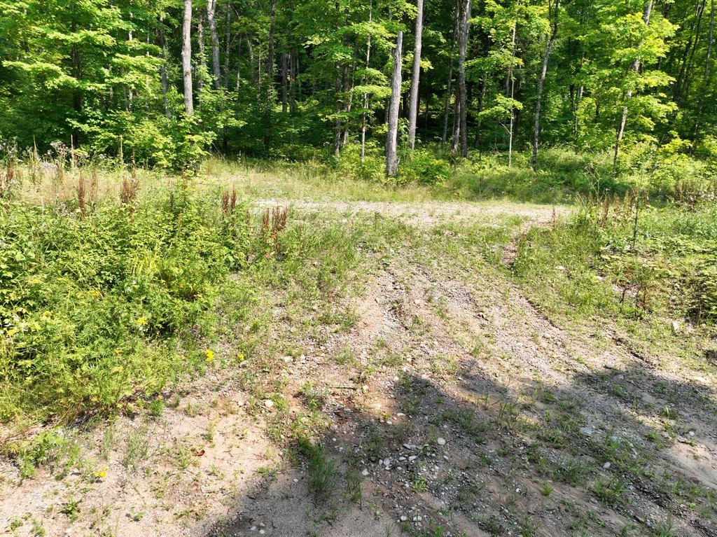 Picture 3