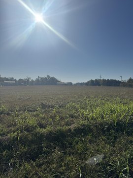 Land, Russell Springs, KY