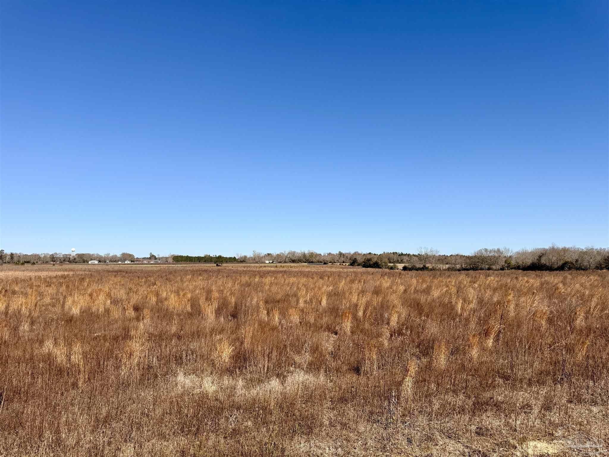 Open Farmland in Santa Rosa