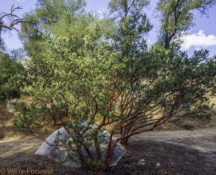 Banning Land with Equestrian Potential