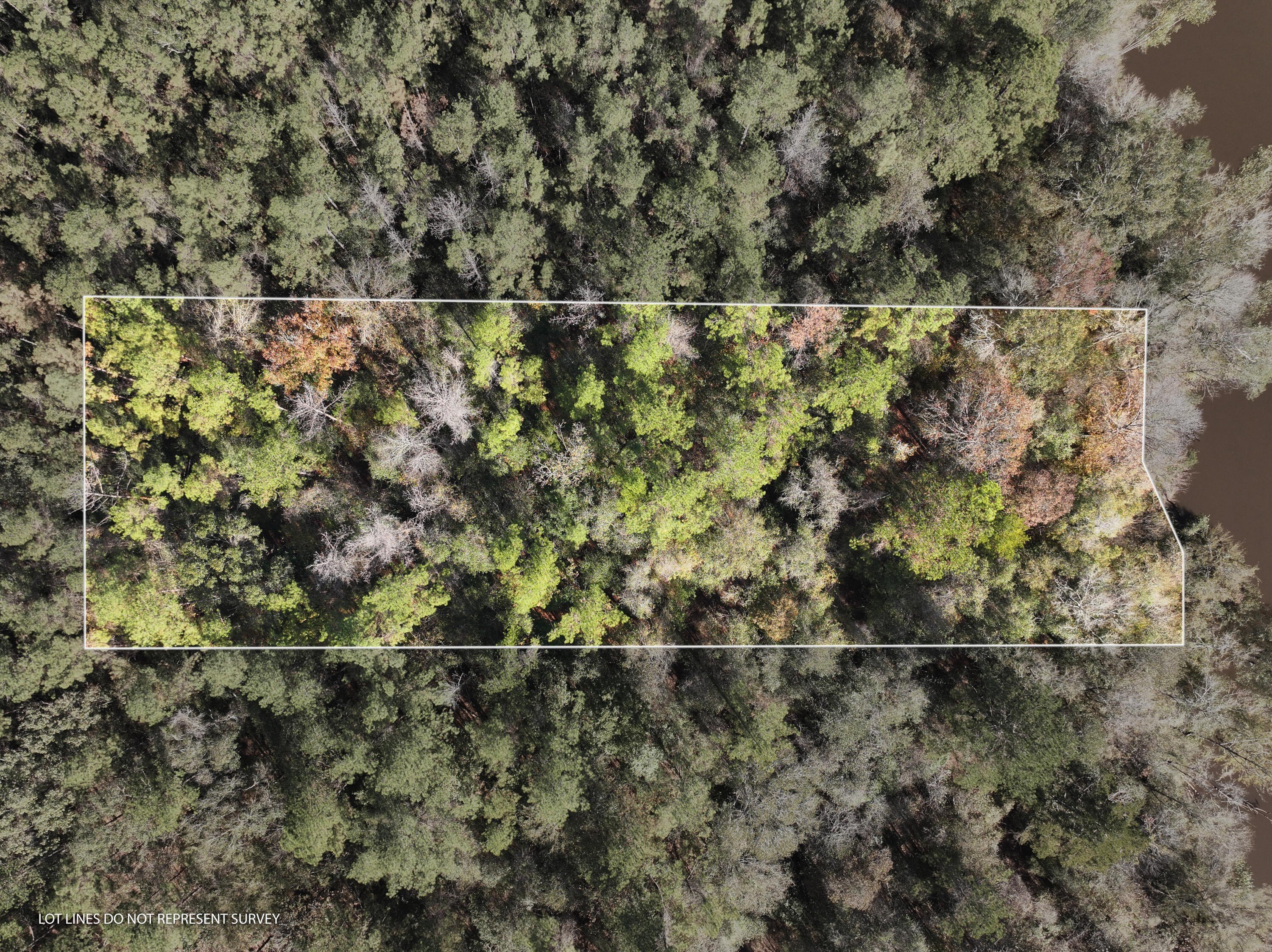 Leaf River Waterfront Acreage