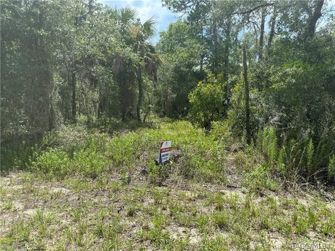 Land, Dunnellon, FL