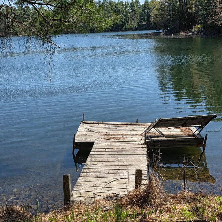 Picture 3