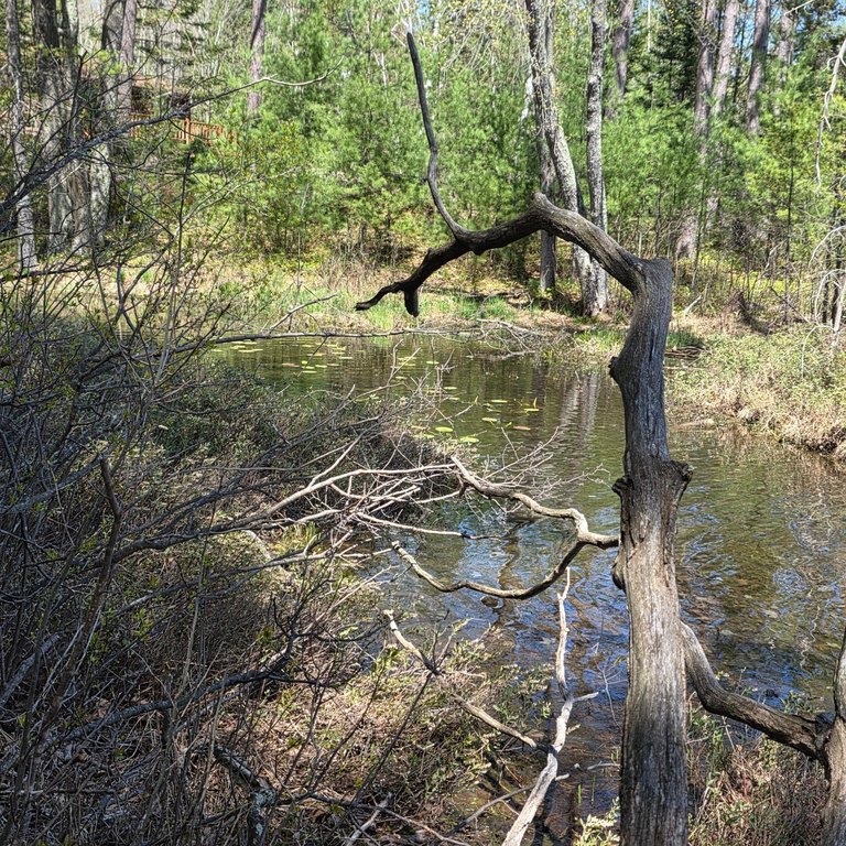 Picture 12
