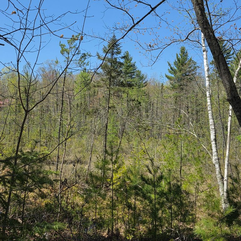 Picture 16