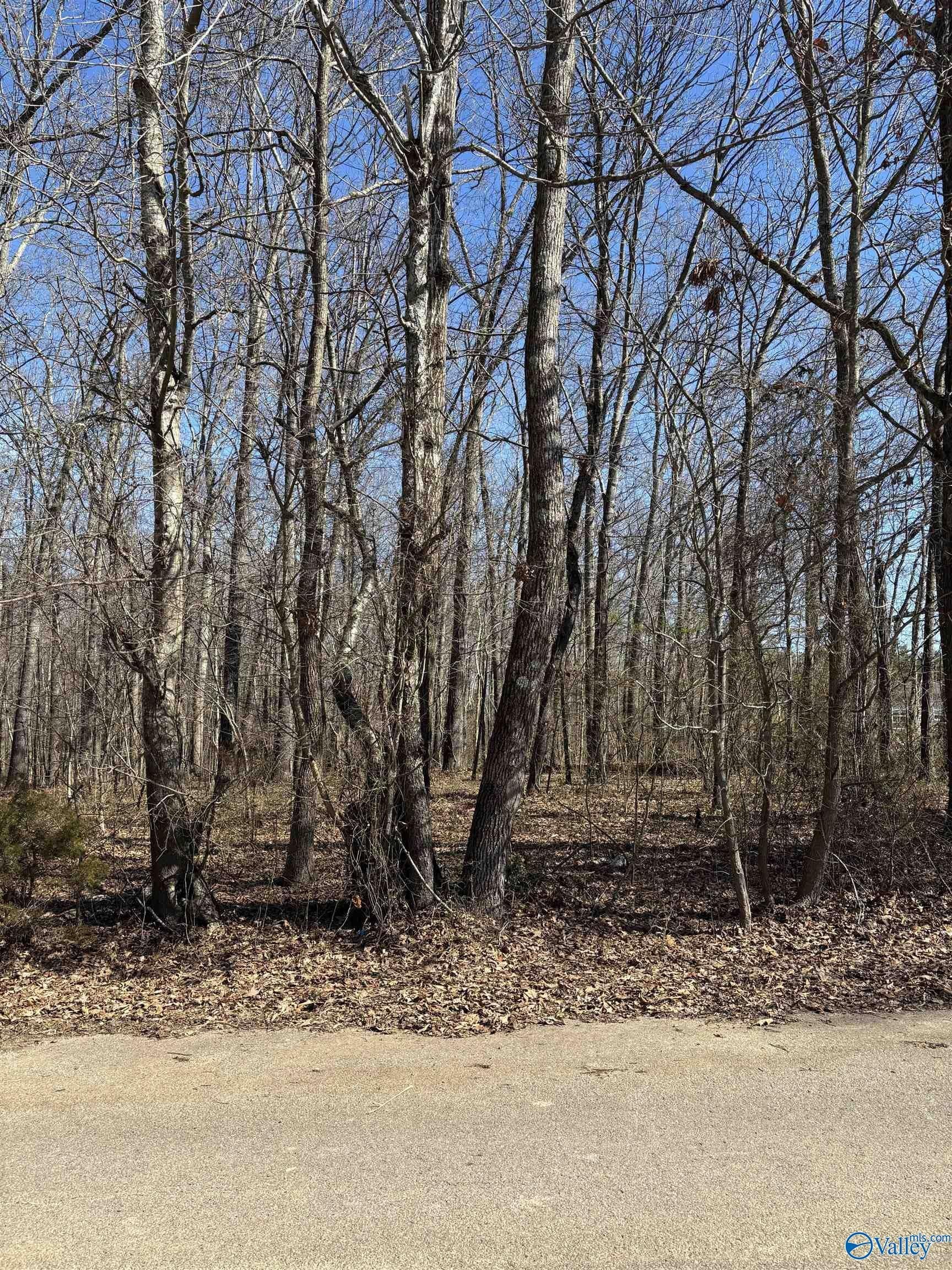 One Acre Treed Homesite