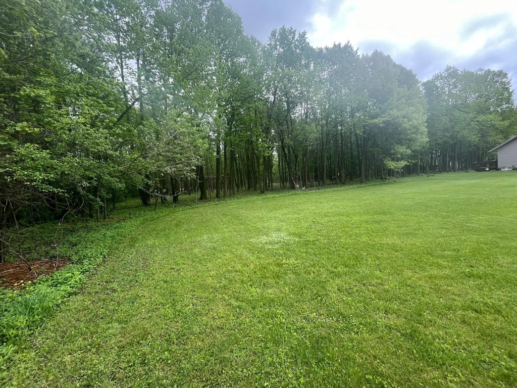 Picture 8
