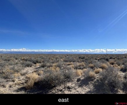 Alamosa Land For Sale