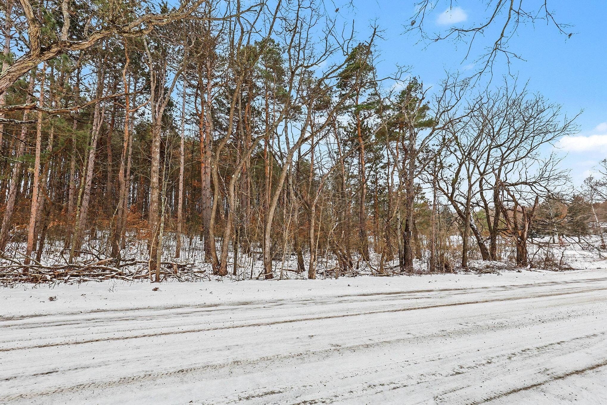 Wooded Lot in Cedar Springs