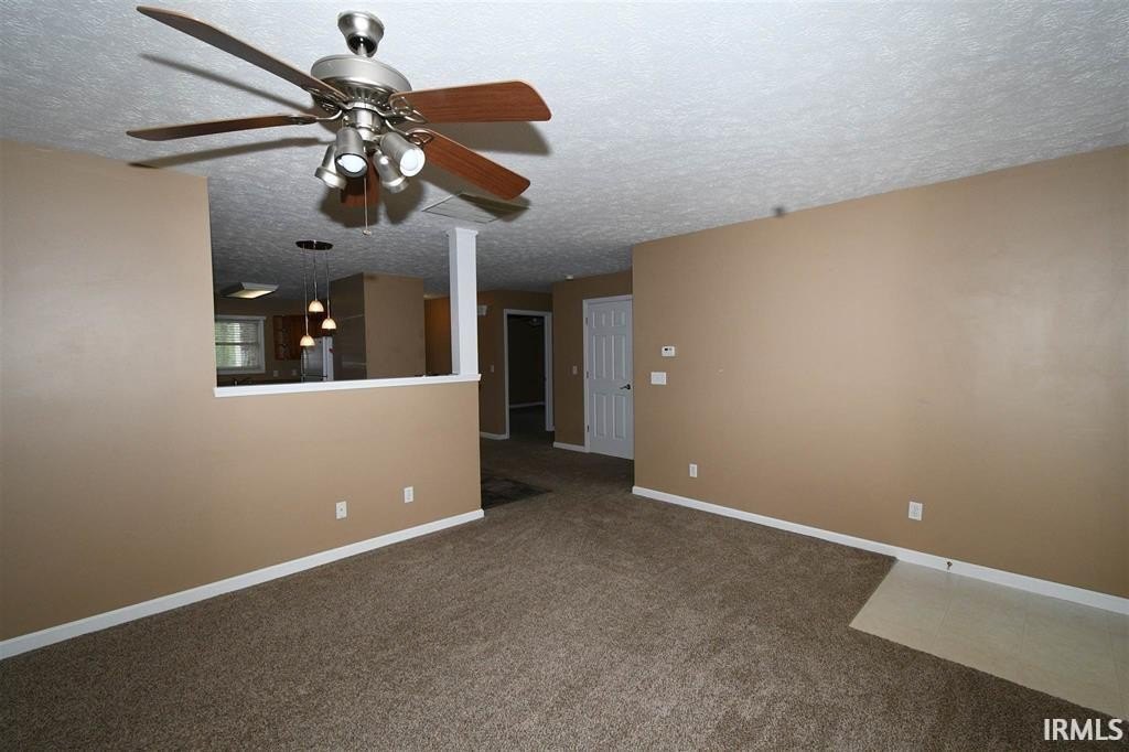 Picture 12