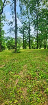 Lake View Lot in Tennessee