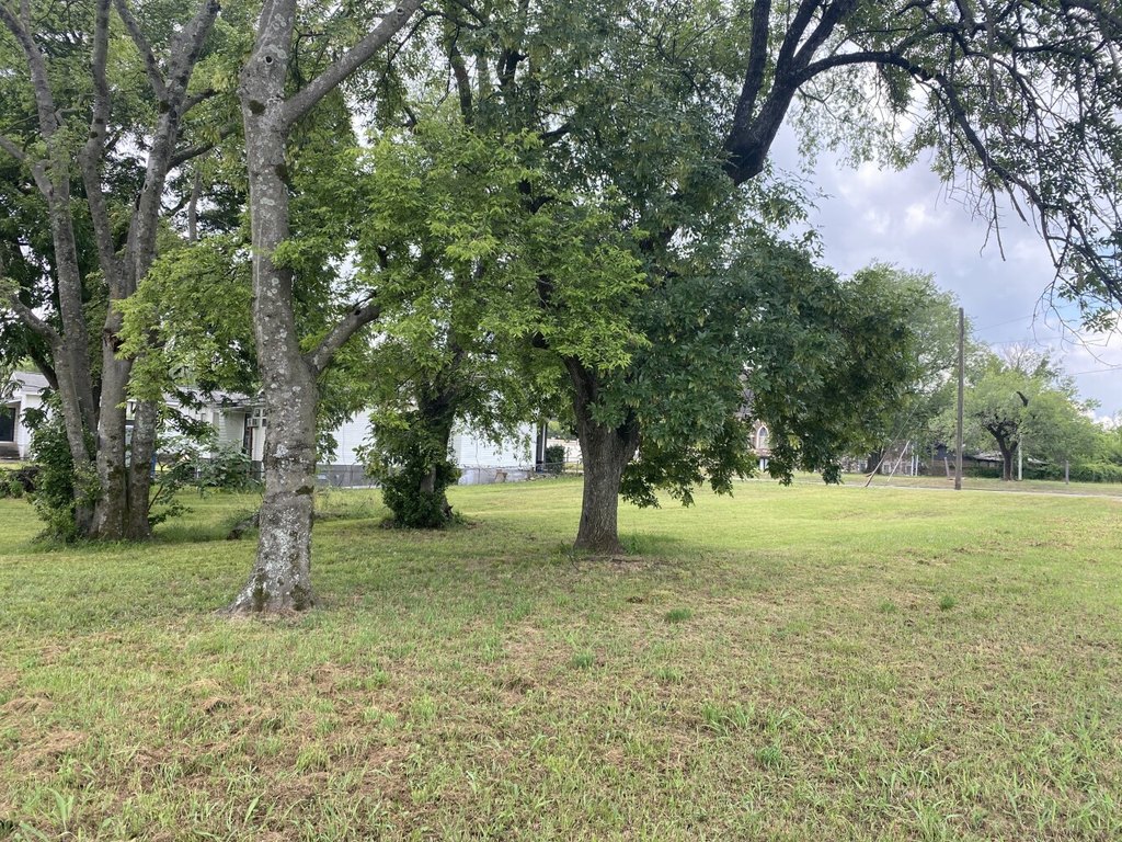 Picture 20