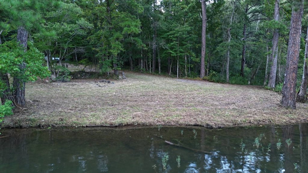 Picture 12