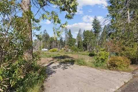 Level Buildable Residential Lot