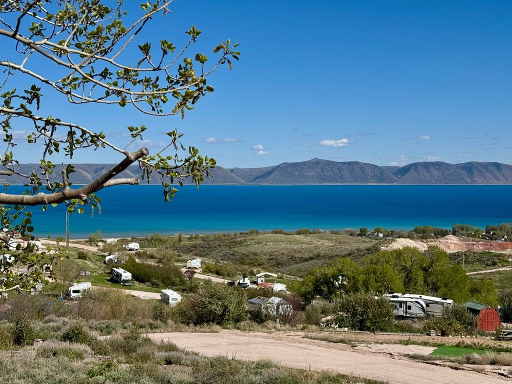 Picture 16