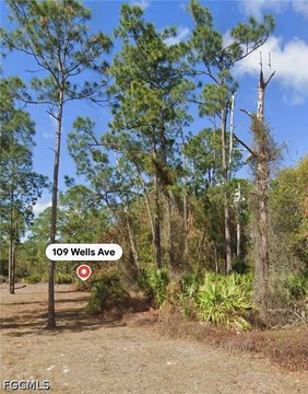 LAND - Lehigh Acres, FL