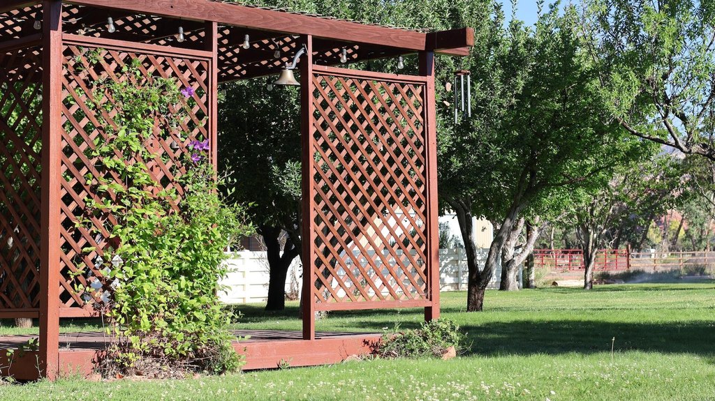 Picture 13