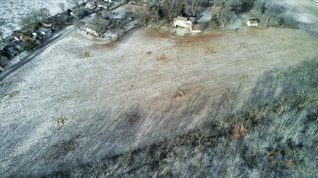 Picture 14