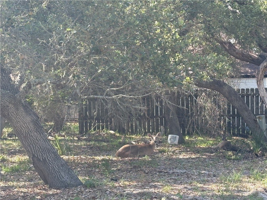 Picture 10