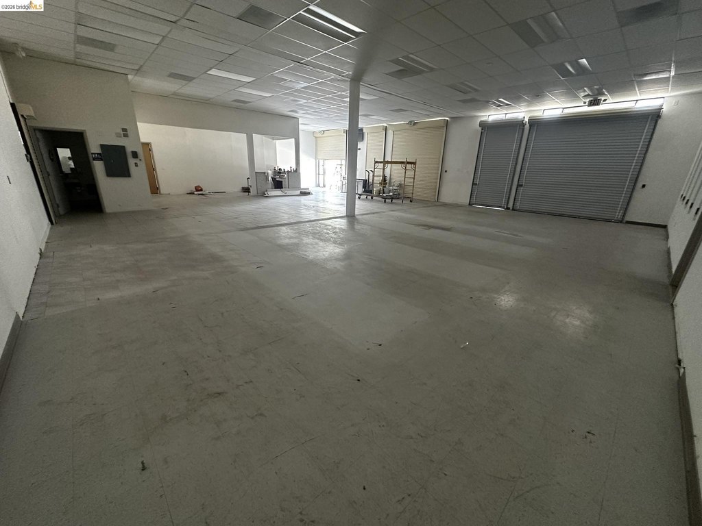 Picture 5