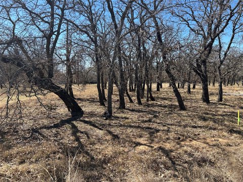 LAND - May, TX