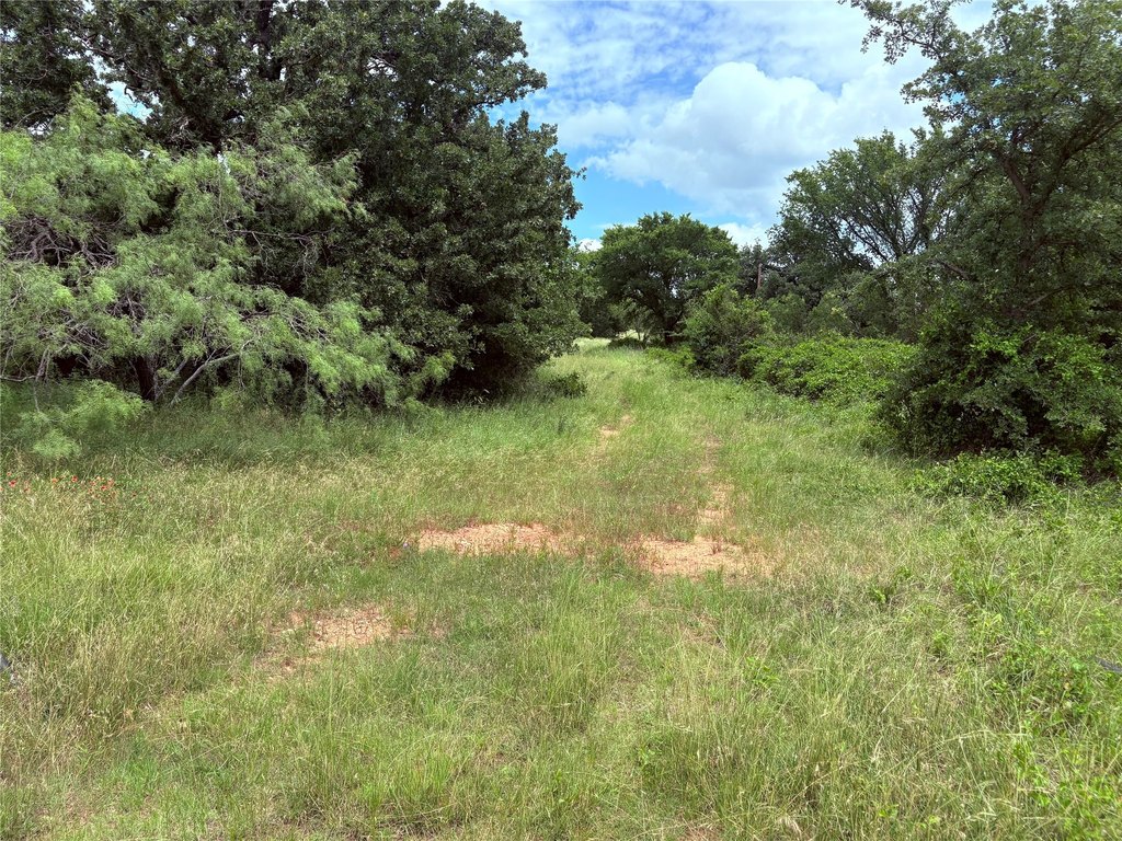 Picture 4