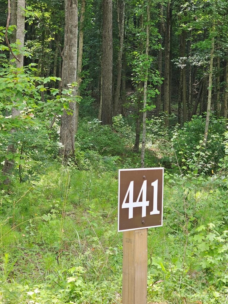 Talking Rock Vacant Wooded Acreage